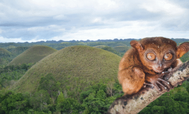 Bohol Island