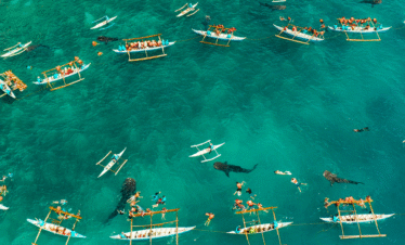 Cebu