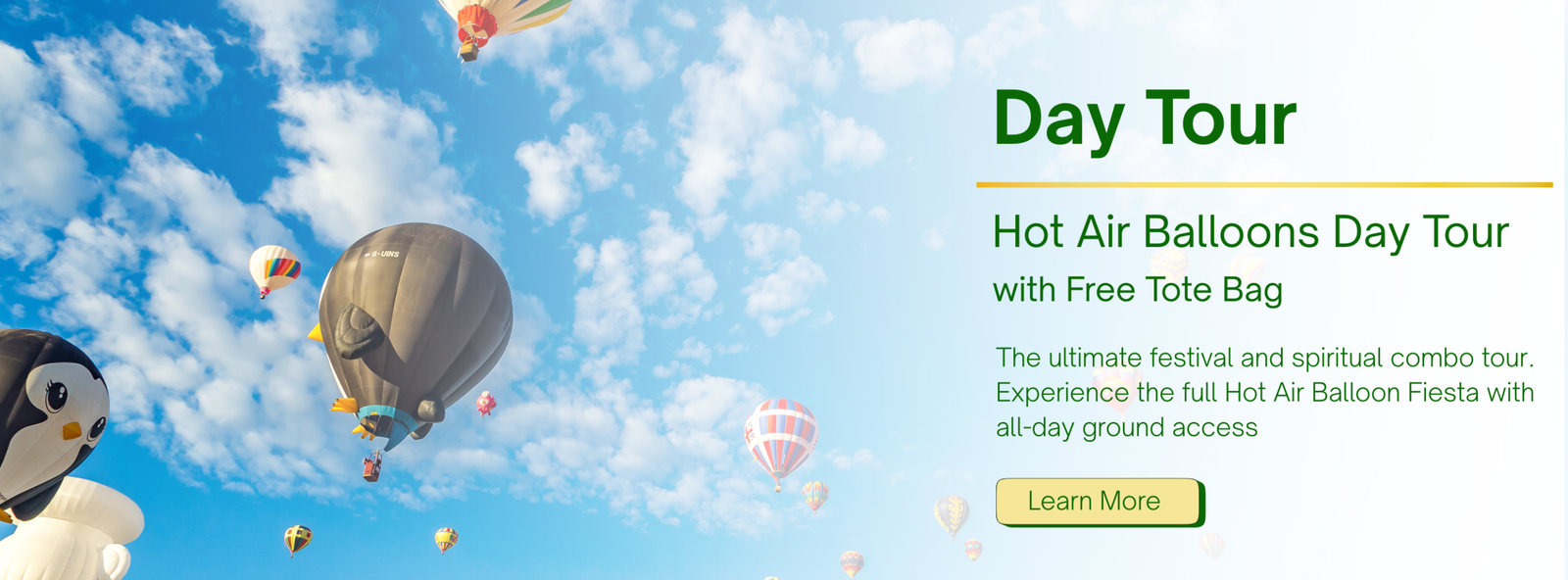 Banner for Hot Air Balloons Day Tour